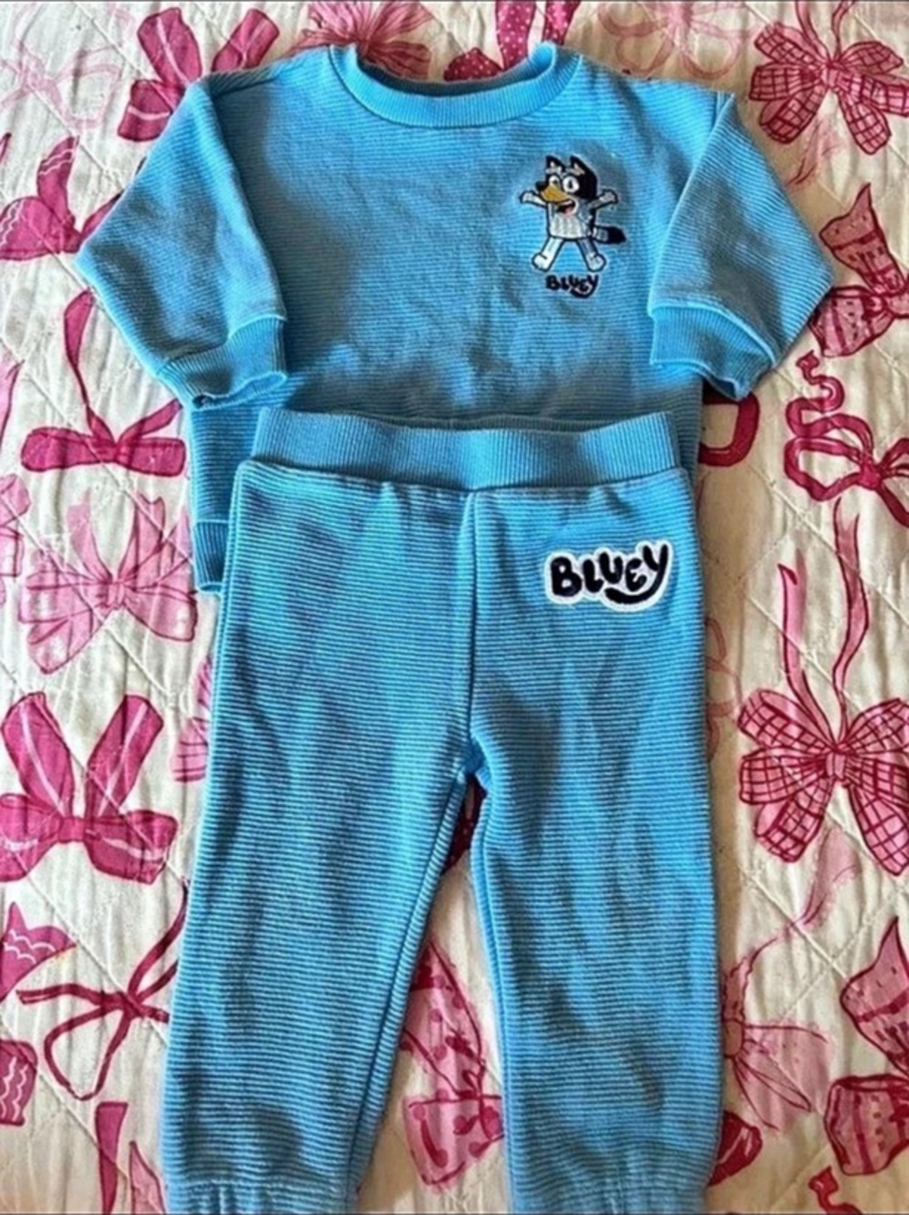 Bluey Blue Character Footie Set
